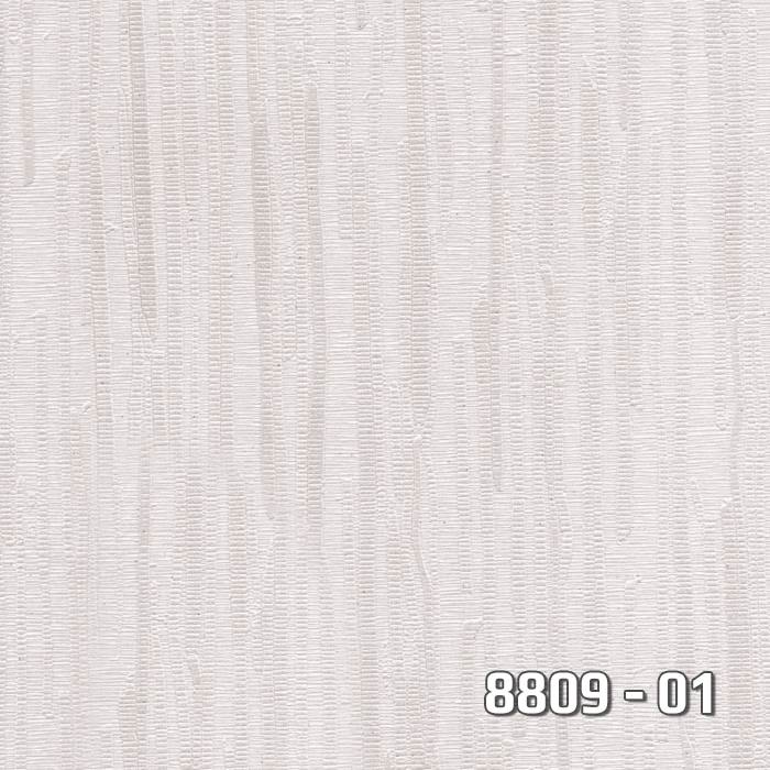 8809-01